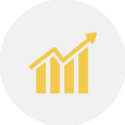 Business intelligence consultant in Auckland helping with data visualization and automated reporting