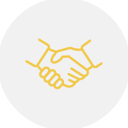 Business intelligence consultant in Auckland helping with data visualization and automated reporting